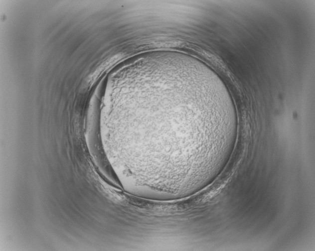 X0000052580889200507292029