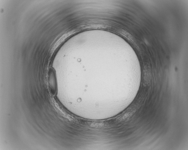 X0000052580890200507292029