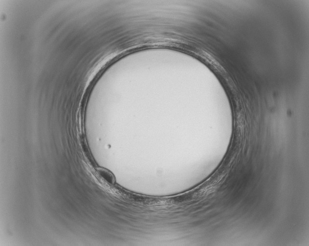 X0000052580891200507292029