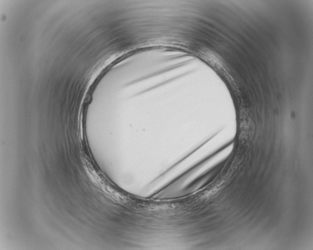 X0000052580892200507292029