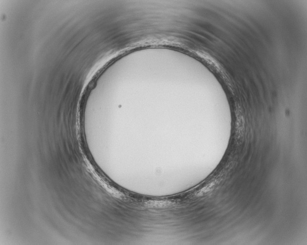 X0000052580894200507292029