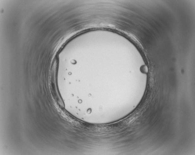 X0000052580895200507292029