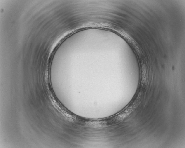 X0000052580896200507292029