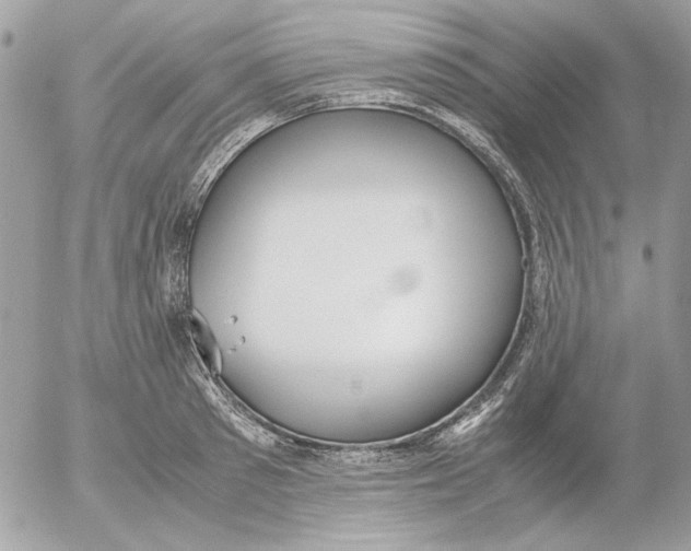 X0000052580897200507292029