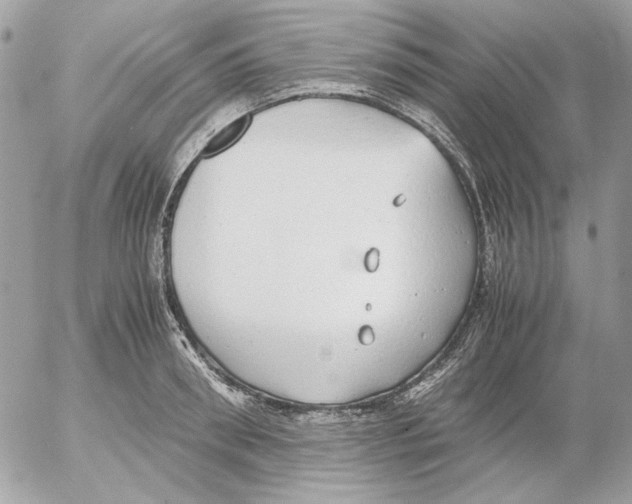 X0000052580898200507292029