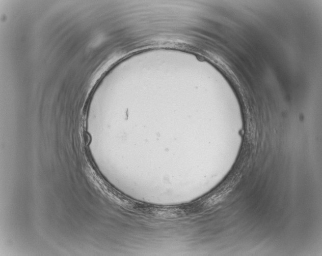 X0000052580899200507292029