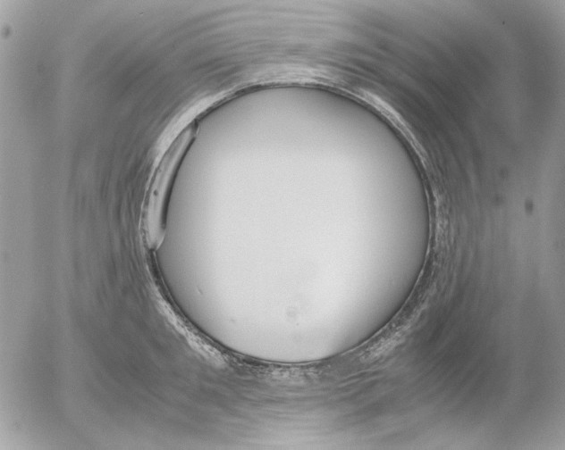 X0000052580901200507292029