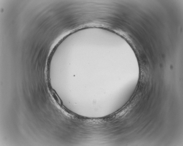 X0000052580902200507292029