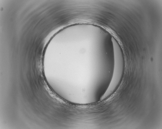 X0000052580904200507292029