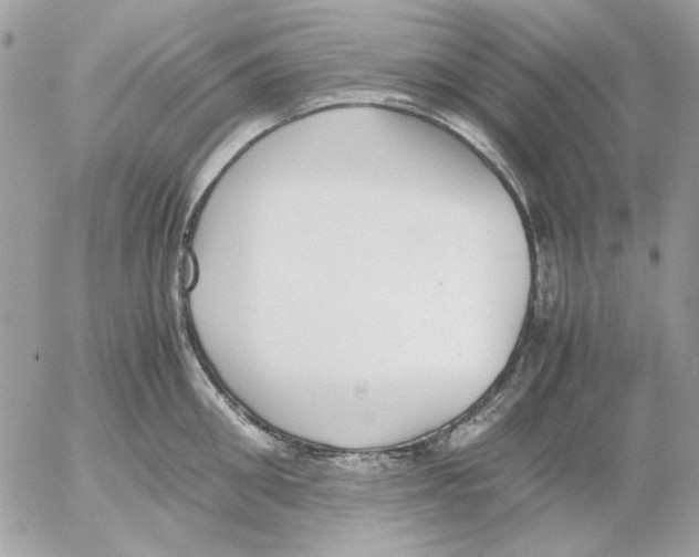 X0000052580906200507292029