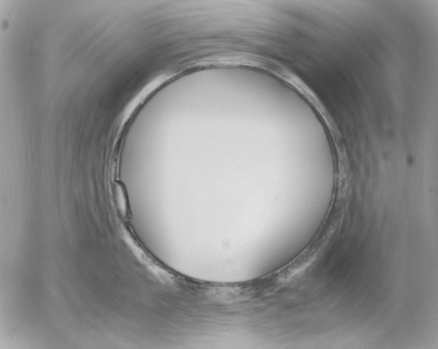 X0000052580909200507292029