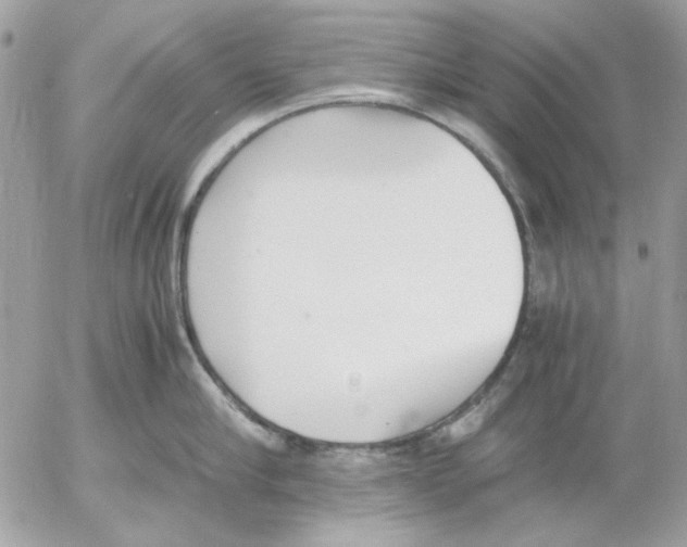 X0000052580910200507292029