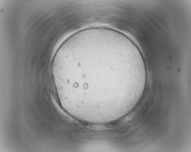 X0000052580911200507292029