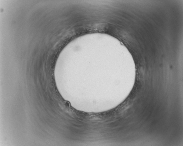 X0000052580913200507292028