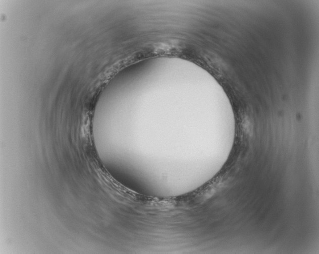 X0000052580914200507292028