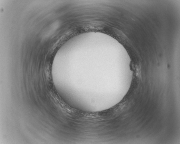 X0000052580915200507292028