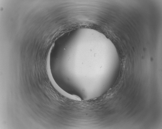 X0000052580916200507292028