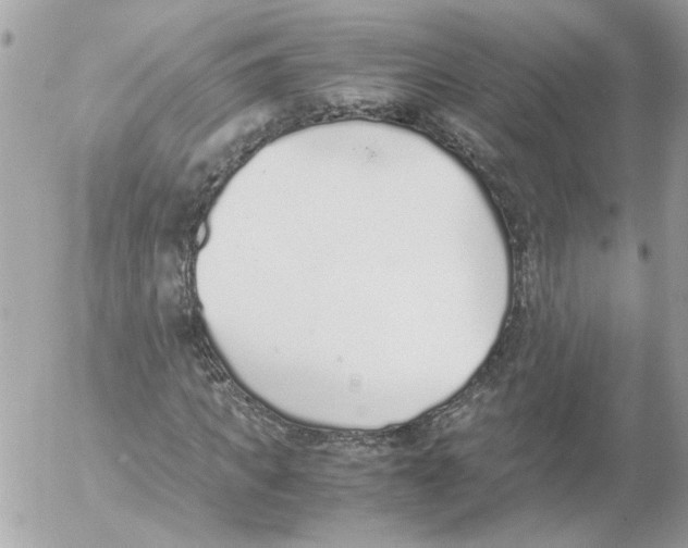 X0000052580917200507292028