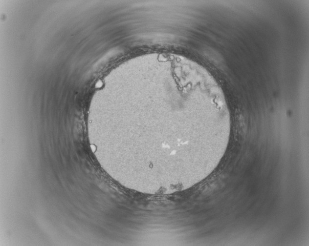 X0000052580918200507292028