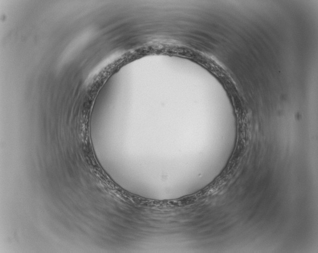 X0000052580919200507292028