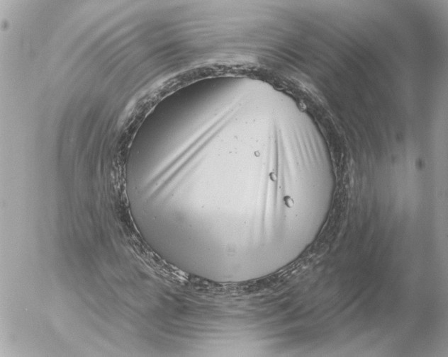 X0000052580920200507292028