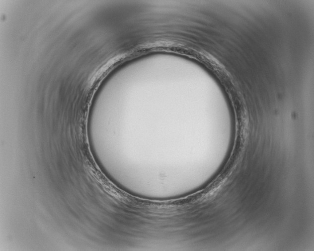 X0000052580921200507292028