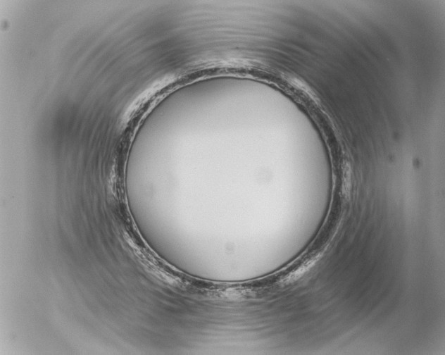 X0000052580922200507292028