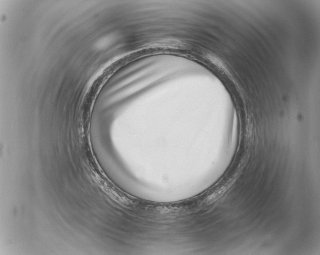 X0000052580923200507292028