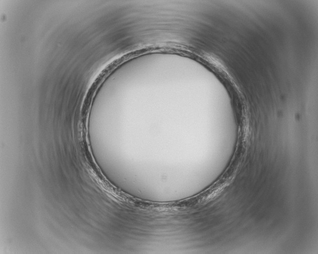 X0000052580924200507292028