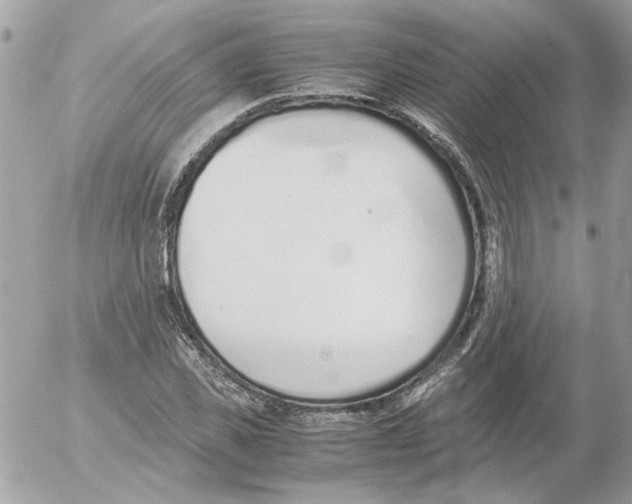 X0000052580925200507292028