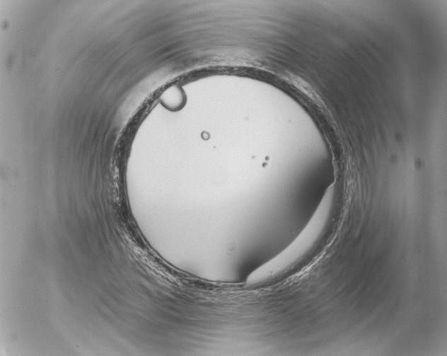 X0000052580926200507292028