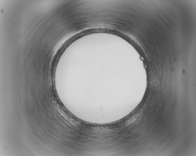 X0000052580927200507292028