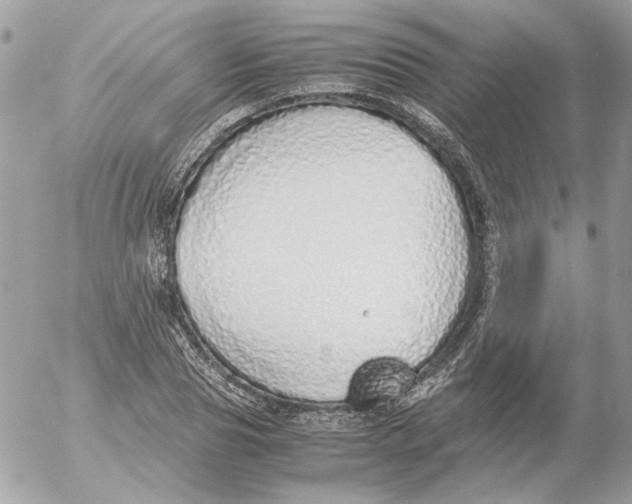 X0000052580929200507292028