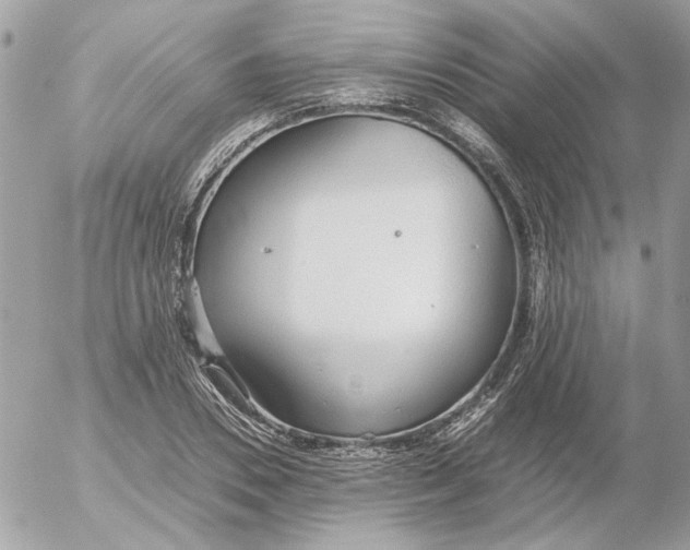 X0000052580930200507292028