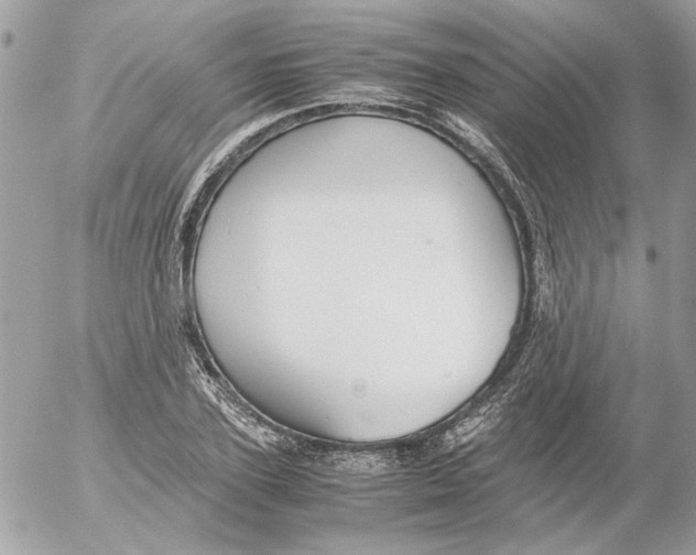 X0000052580931200507292028