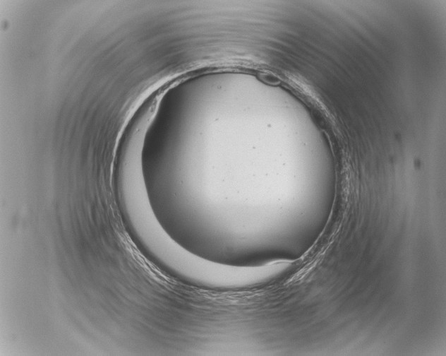 X0000052580932200507292028