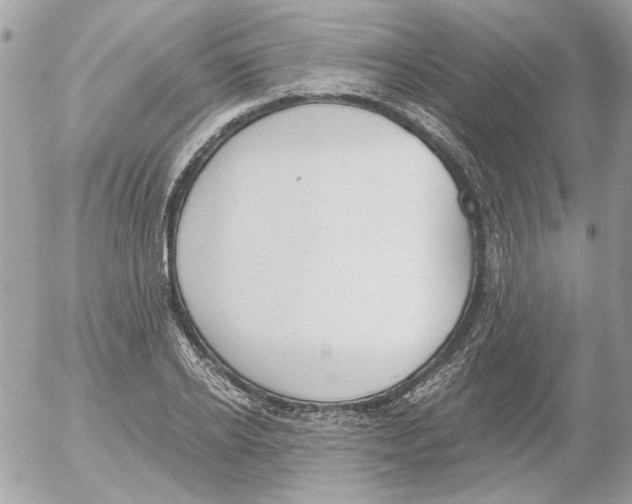 X0000052580934200507292028