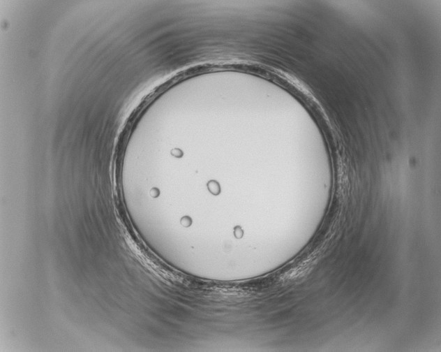 X0000052580935200507292028