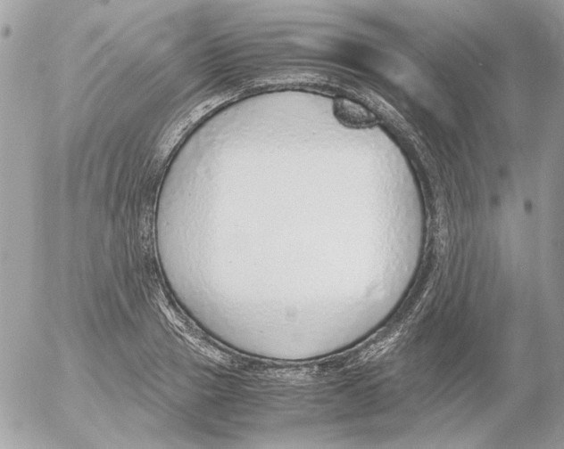 X0000052580937200507292028