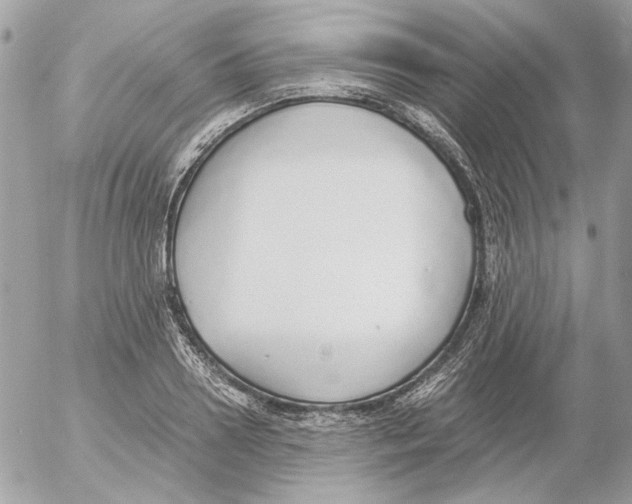 X0000052580938200507292028