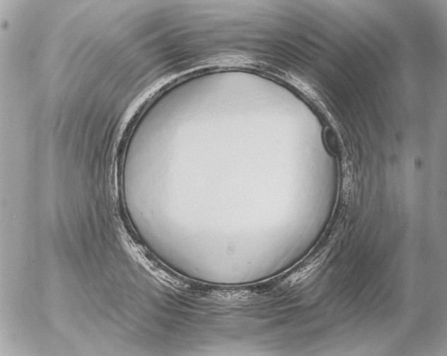 X0000052580939200507292028