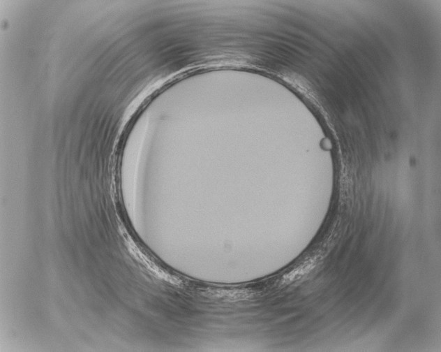 X0000052580941200507292028