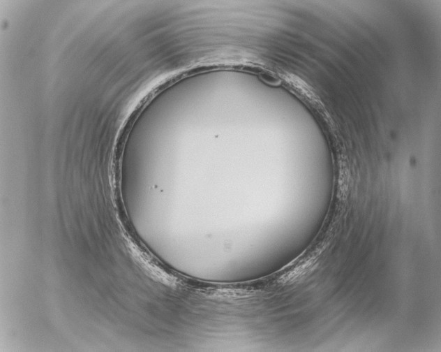 X0000052580942200507292028