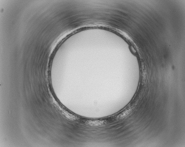 X0000052580943200507292028