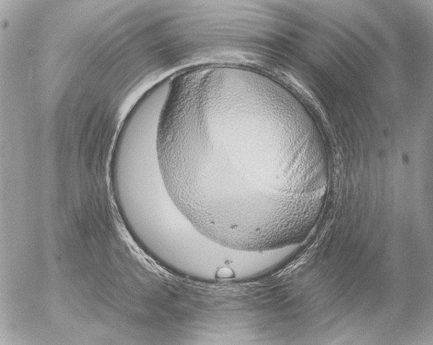 X0000052580944200507292028