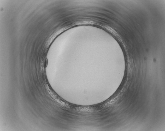 X0000052580945200507292028