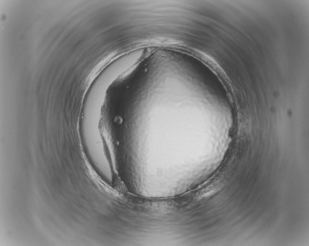 X0000052580946200507292028