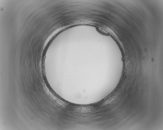 X0000052580947200507292028