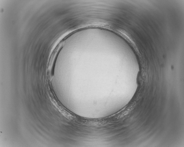 X0000052580948200507292028