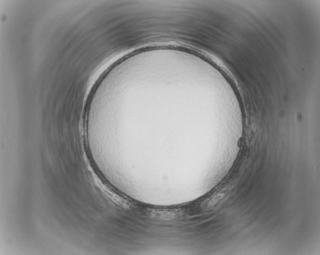 X0000052580951200507292028